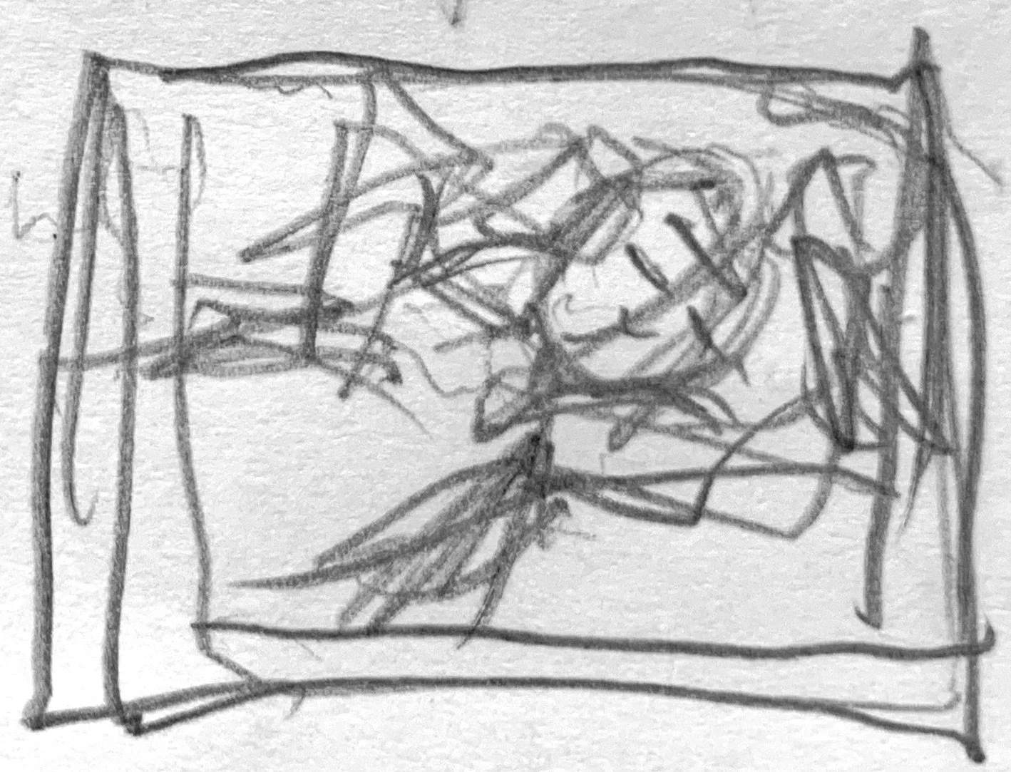   Horizontal tight black and white shot of swan. Eyes and mouth closed. Neutral expression. Fill frame. Make sure to allow for both hands to be in shot. Play around with different poses. (Shoot both this shot and the shot from panel 20 with the swan 