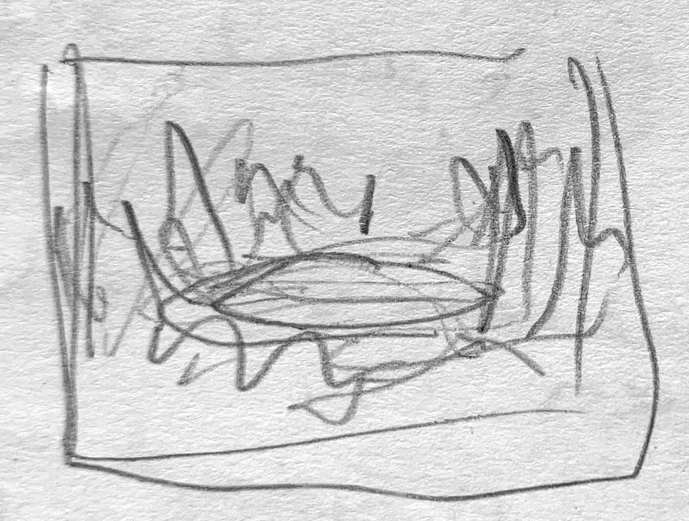   Wide angle nature shot of some kind of body of water.  