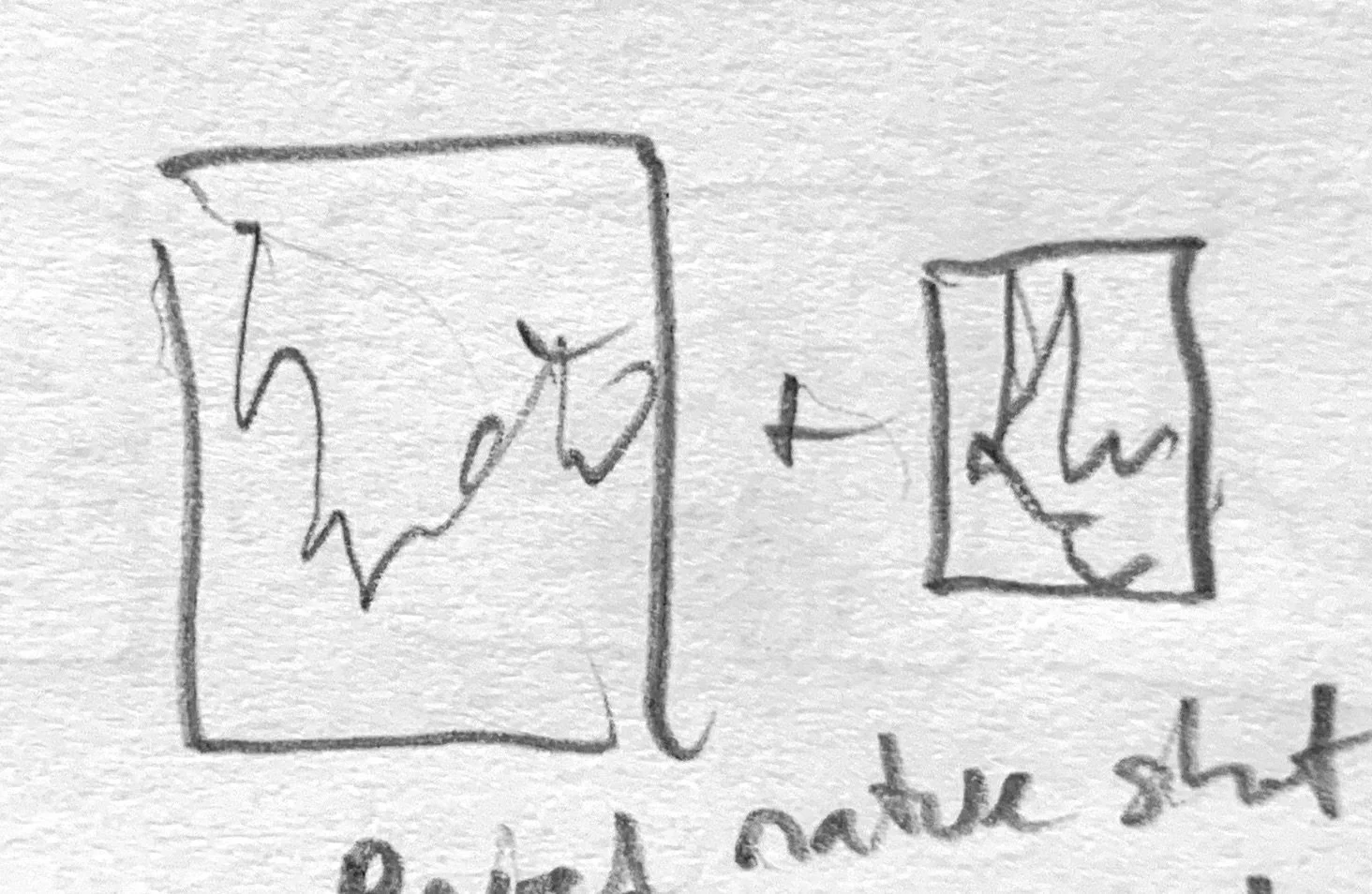   Paired nature shots. One large and one small.  