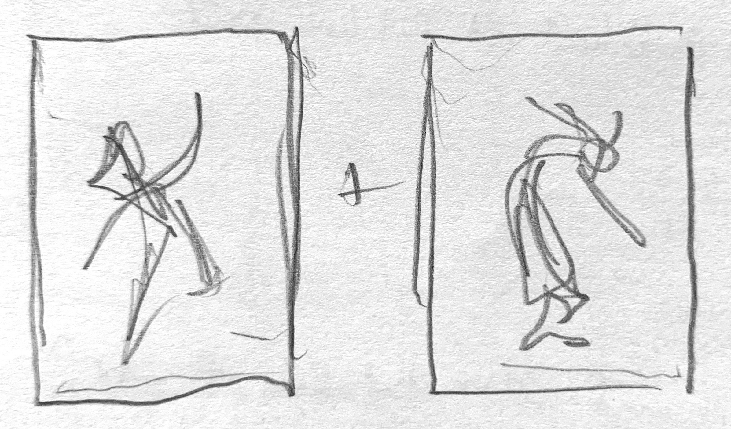   Paired swan in motion shots.  