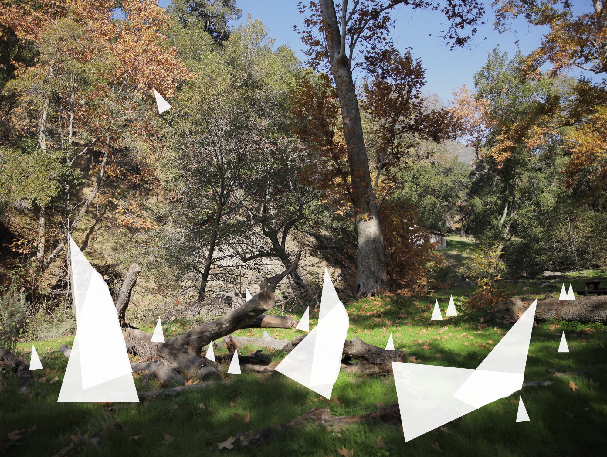   Wide angle shot of witches playing with their dolls. One witch tosses her doll in the air. The additional dolls that the witches created are placed throughout scene. Put the leader doll in a prominent position.  