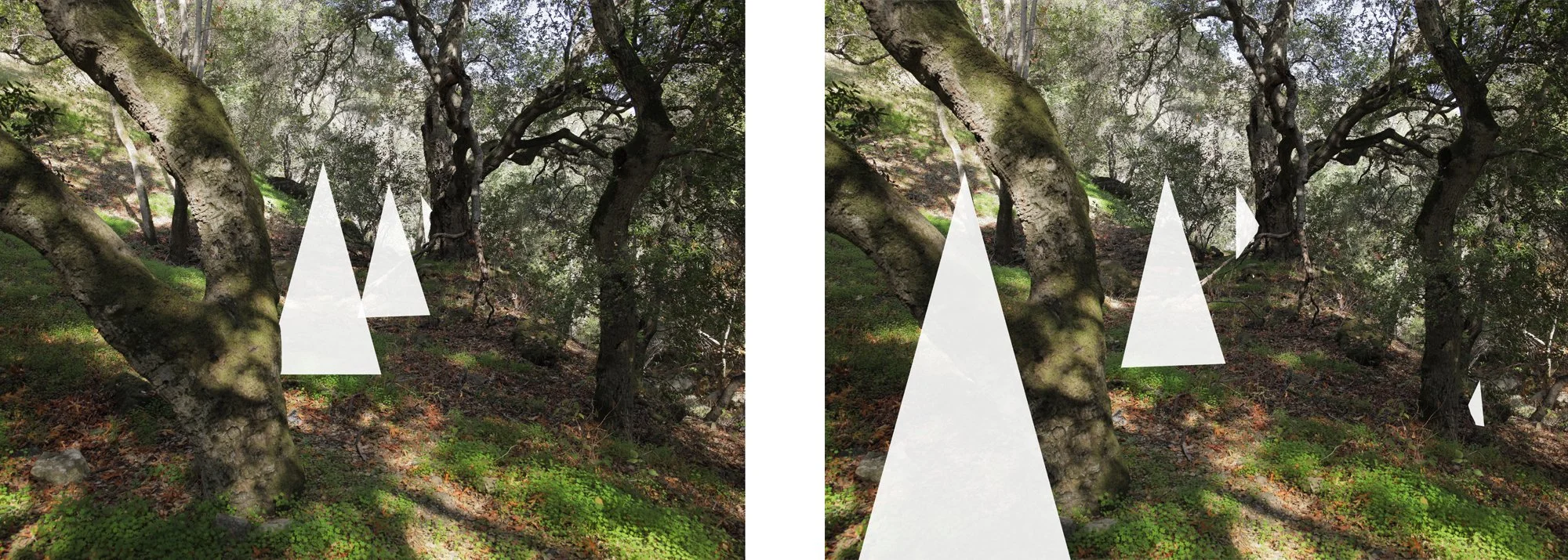   Paired horizontal shots of witches moving through wooded grove. In the first shot they appear in the distance. Second frame they appear closer. Stagger witches (foreground, mid, and background). Leader following doll is hidden behind a tree in the 