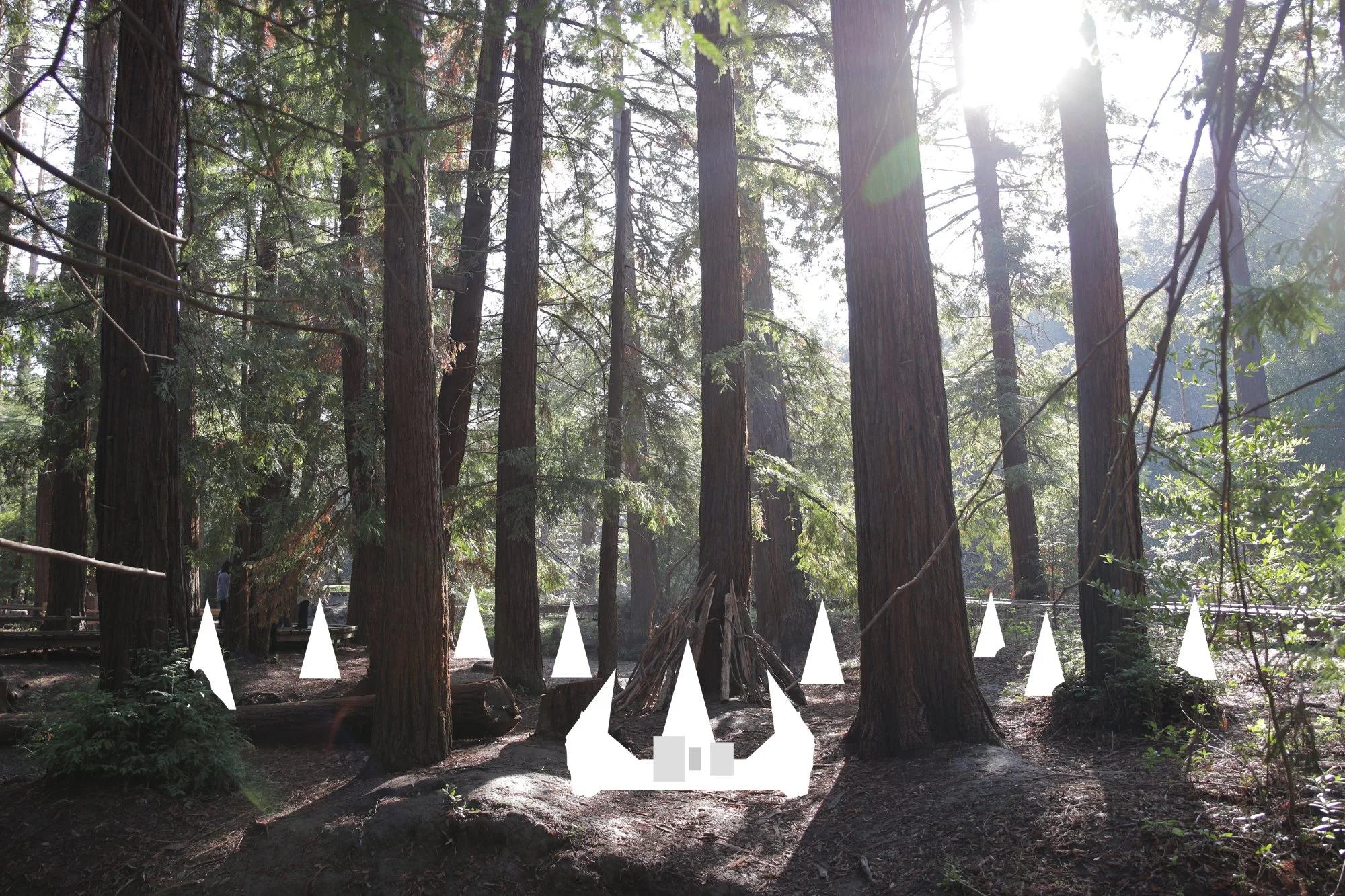   Wide shot of witches gathered around shrine. Multiple spirits lurk in the woods behind them (and around them if trees are in foreground).    NOTE: Spirit effect will be achieved by taking a long exposure while moving in place. Multiple exposures of
