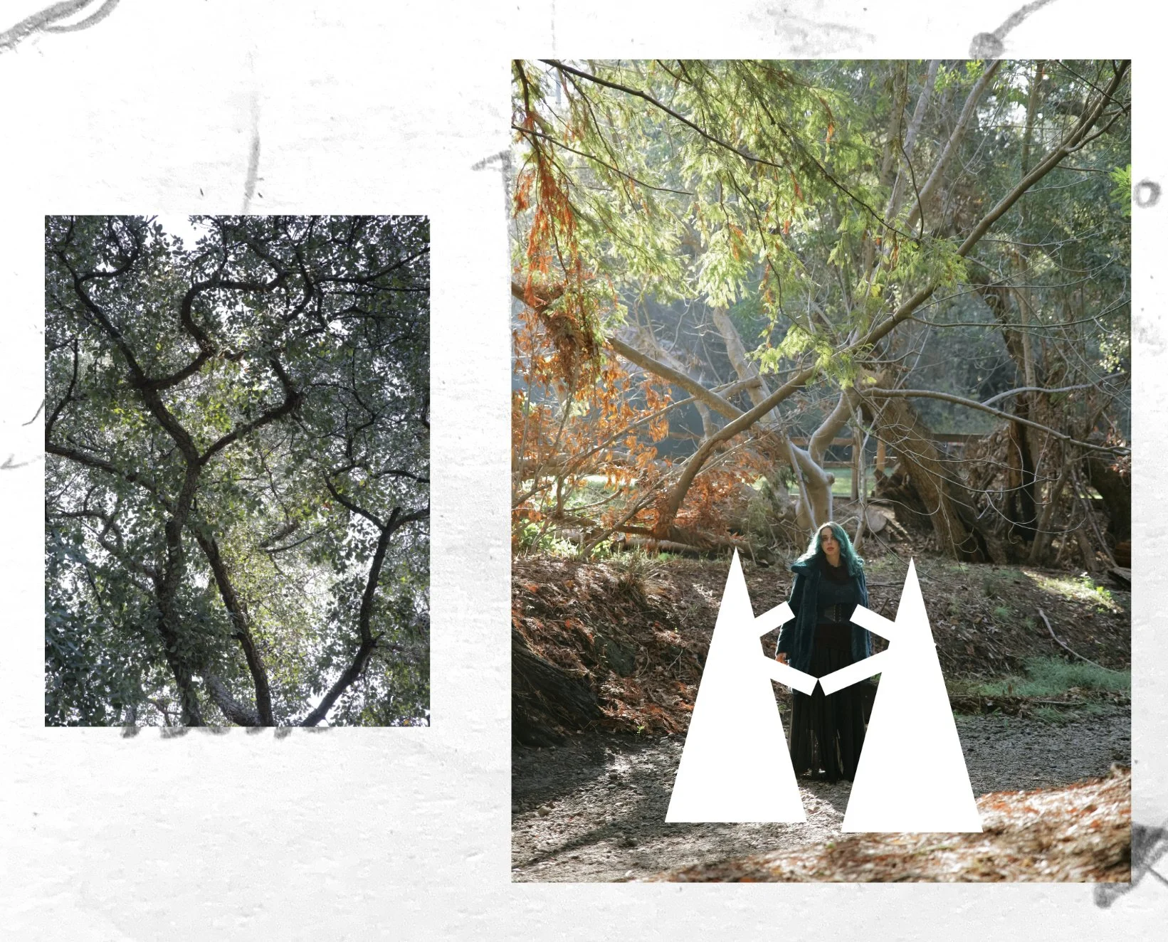   Wide angle shot or tight midshot (shot both) of witches holding hands in a circle with a card in between them, use gazes to direct viewer’s eye from witch to witch. Pair with nature or detail shot or tight headshot.  