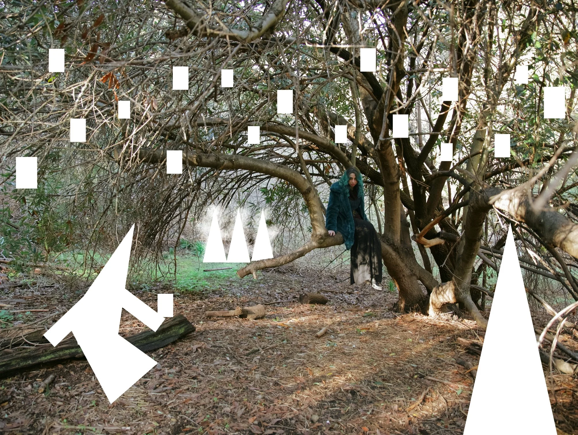   Witches staggered in a wide shot. One in the extreme foreground, another one sitting on a fallen log, and the last one sitting on the tree. Tarot cards are hanging from the tree’s branches. Three spirits are present in the background.   