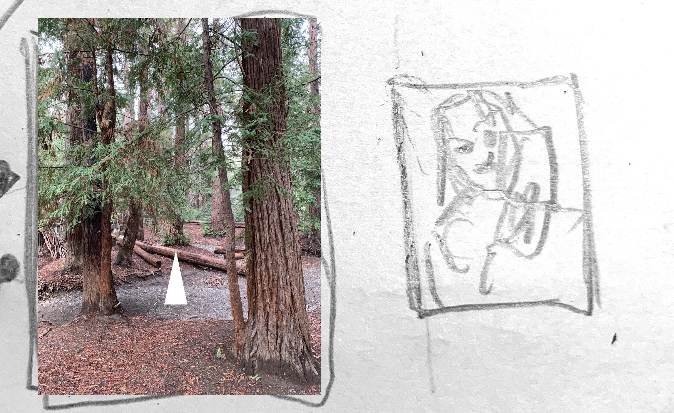   Wide angle shot of witch. Tarot card levitates in her hands. Second frame is a tight headshot (fill frame) of witch holding card. Vary expression/gesture according to witch’s persona. Try several different poses/expressions.    NOTE. To keep the fr
