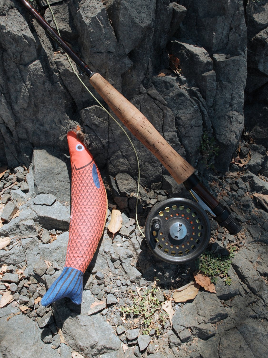 25.7.15_GoneFishing_Uvas_0486.JPG