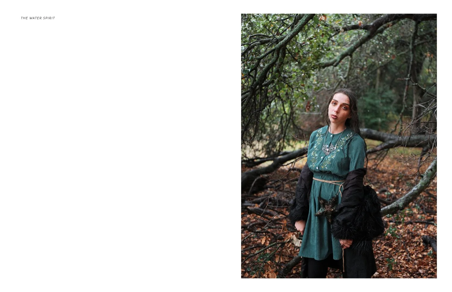 DIGITAL_TheWaterSpirit_12.jpg