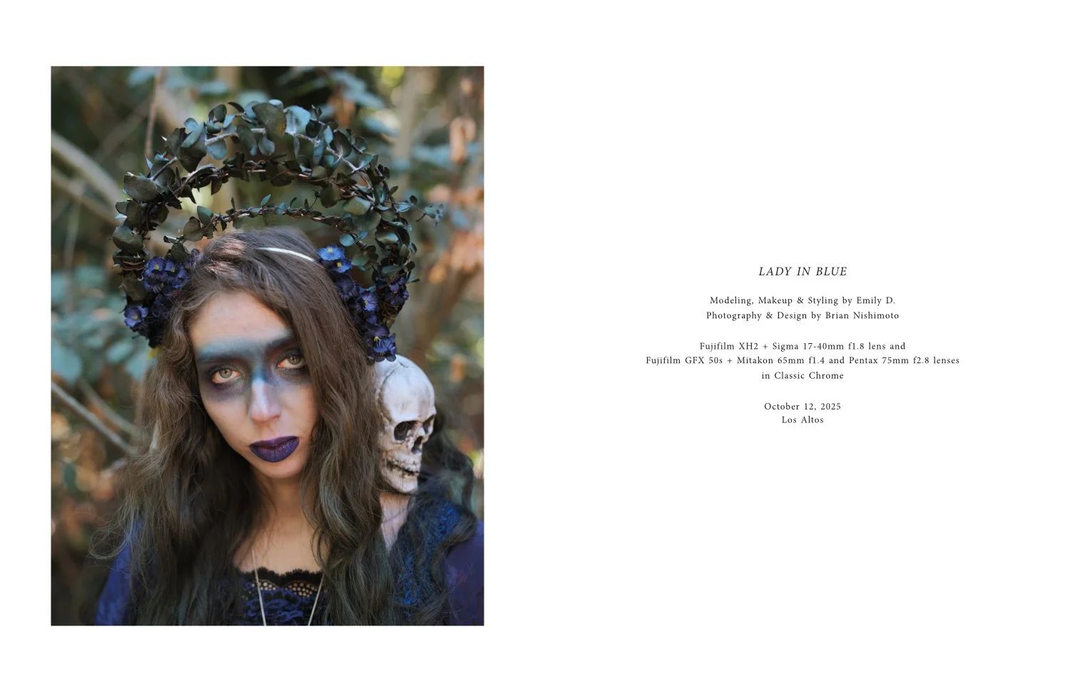 DIGITAL_LadyInBlue_18.jpg