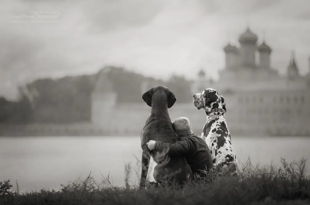 Andy Seliverstoff / Great Dane Chronicles