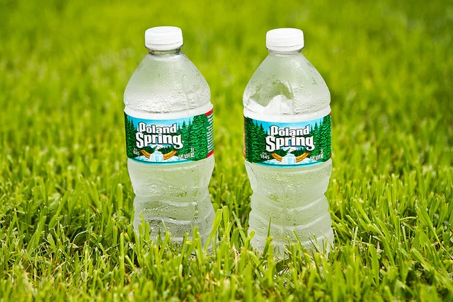 Porque Los Perros No Mean Donde Hay Botellas Con Agua