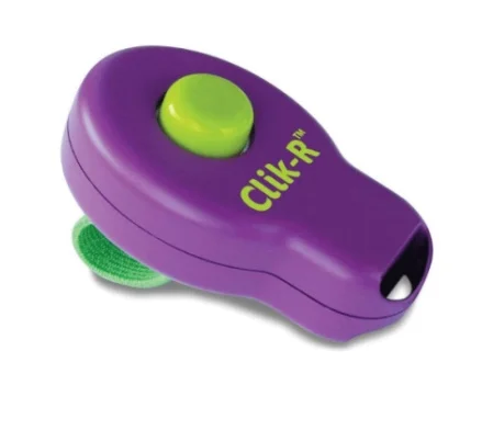 clicker-metodo-facil-efectivo-entrenar-perro-1.jpg