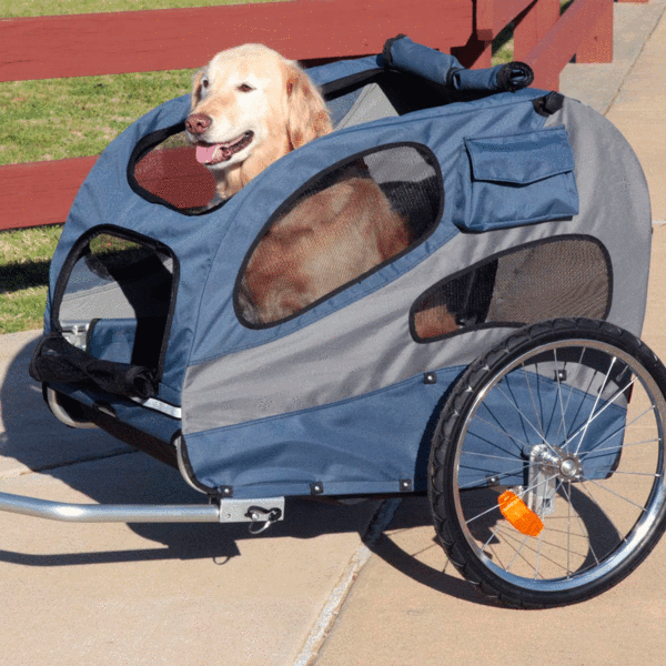 remolque perro.png