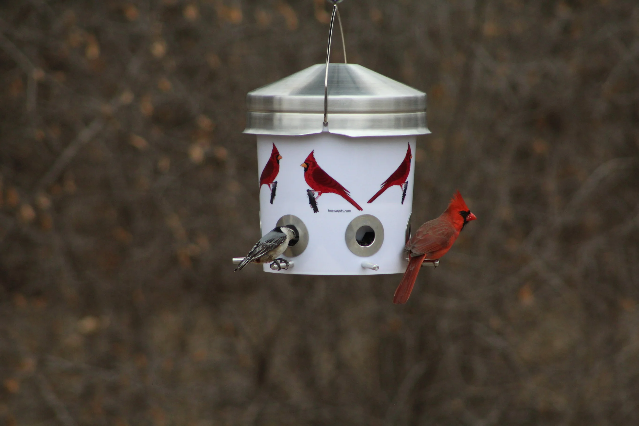 Bucket Bird Feeder — Hotwoods