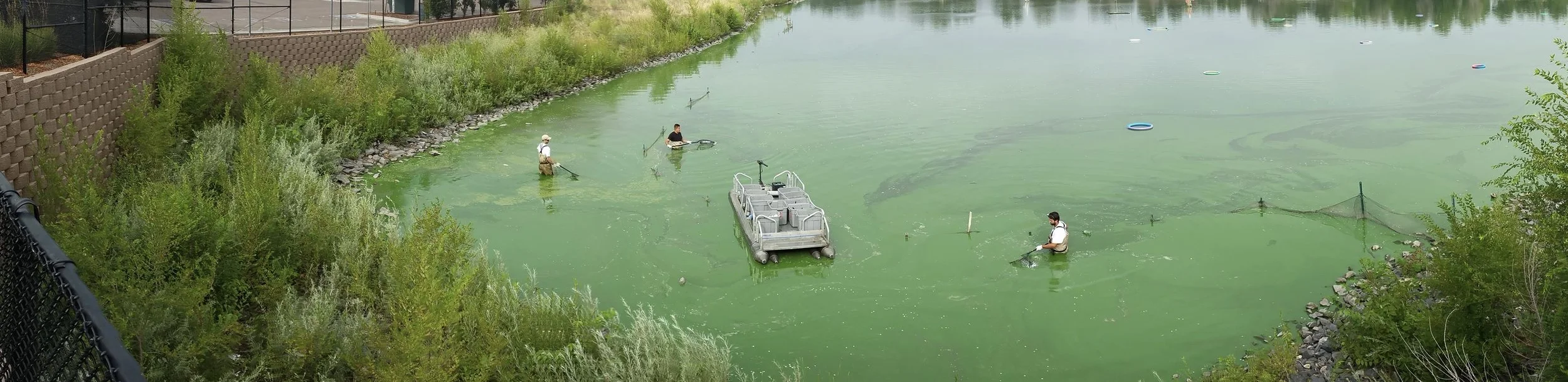 As you see in this photo our compact pontoon boats get used for so much more than just entertainment. In this photo the Colorado company Aqua Golf, uses this Fish N Sport to collect golf balls out of one of the lakes at a course they service.