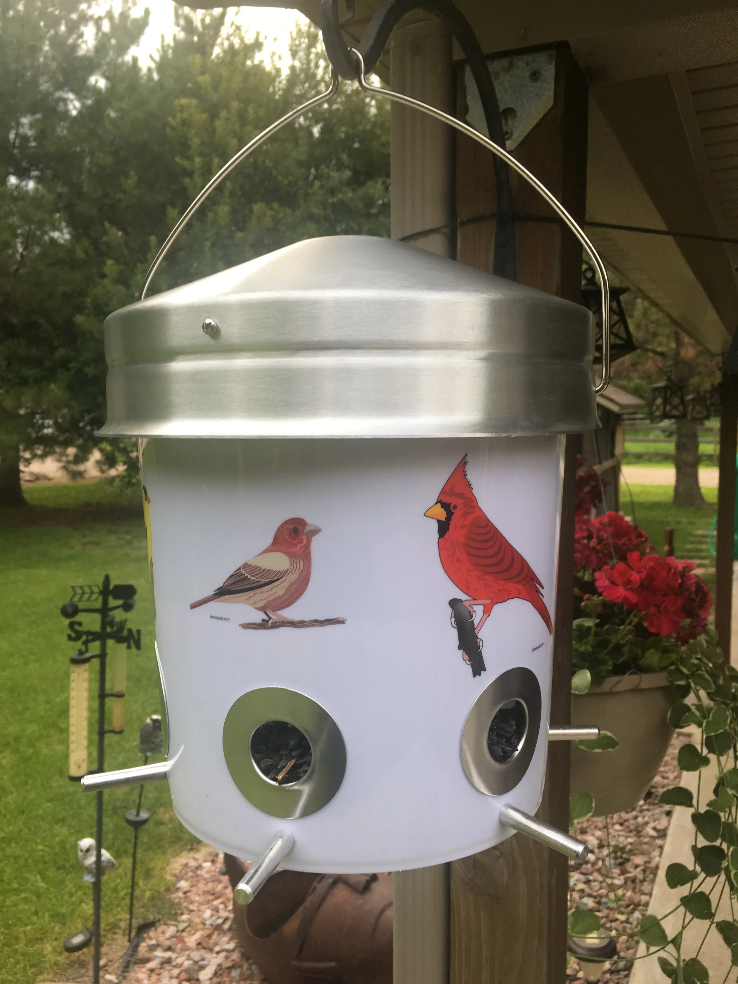 Bucket Bird Feeder Hotwoods