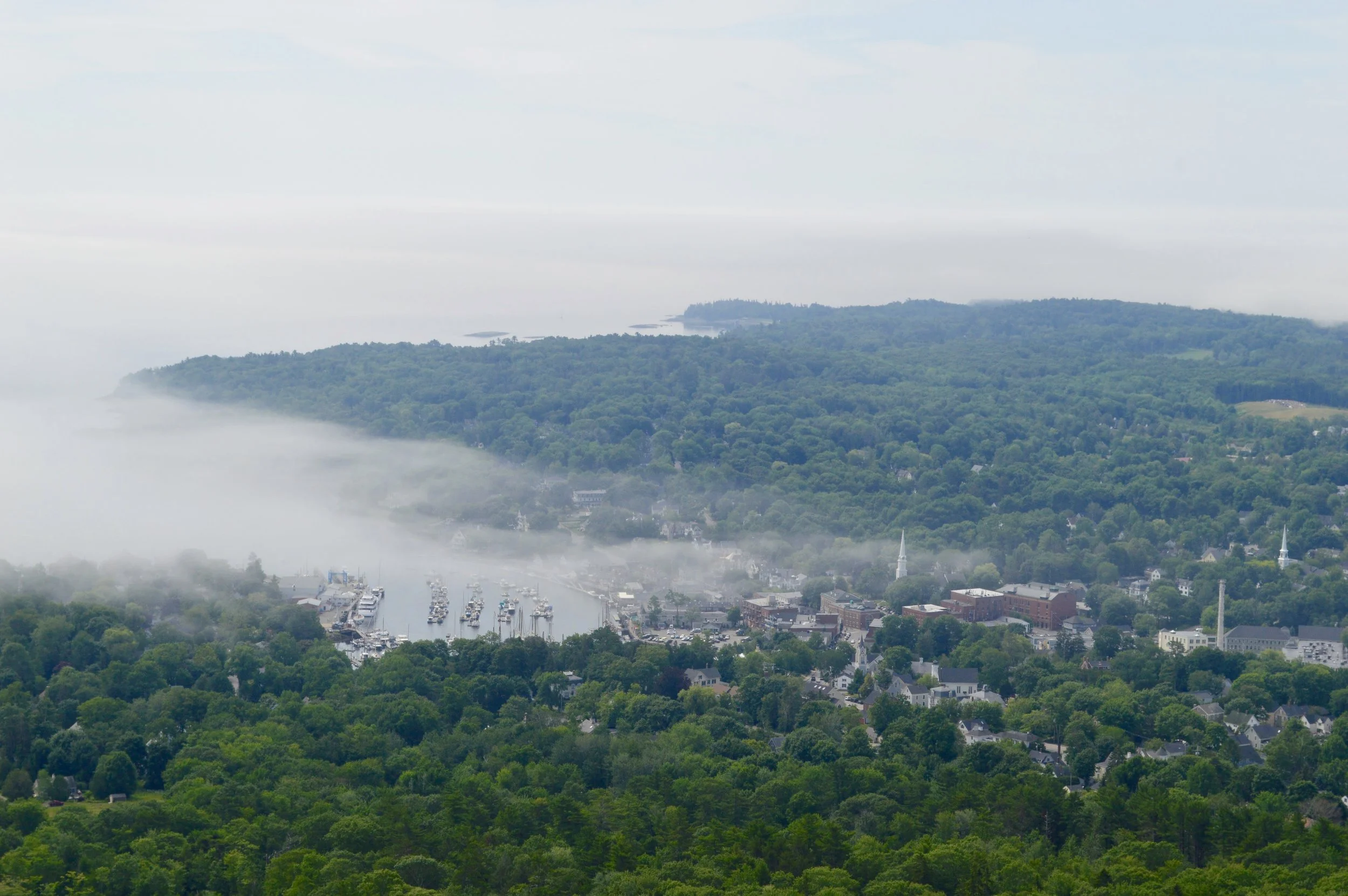 DSC_0104.jpg