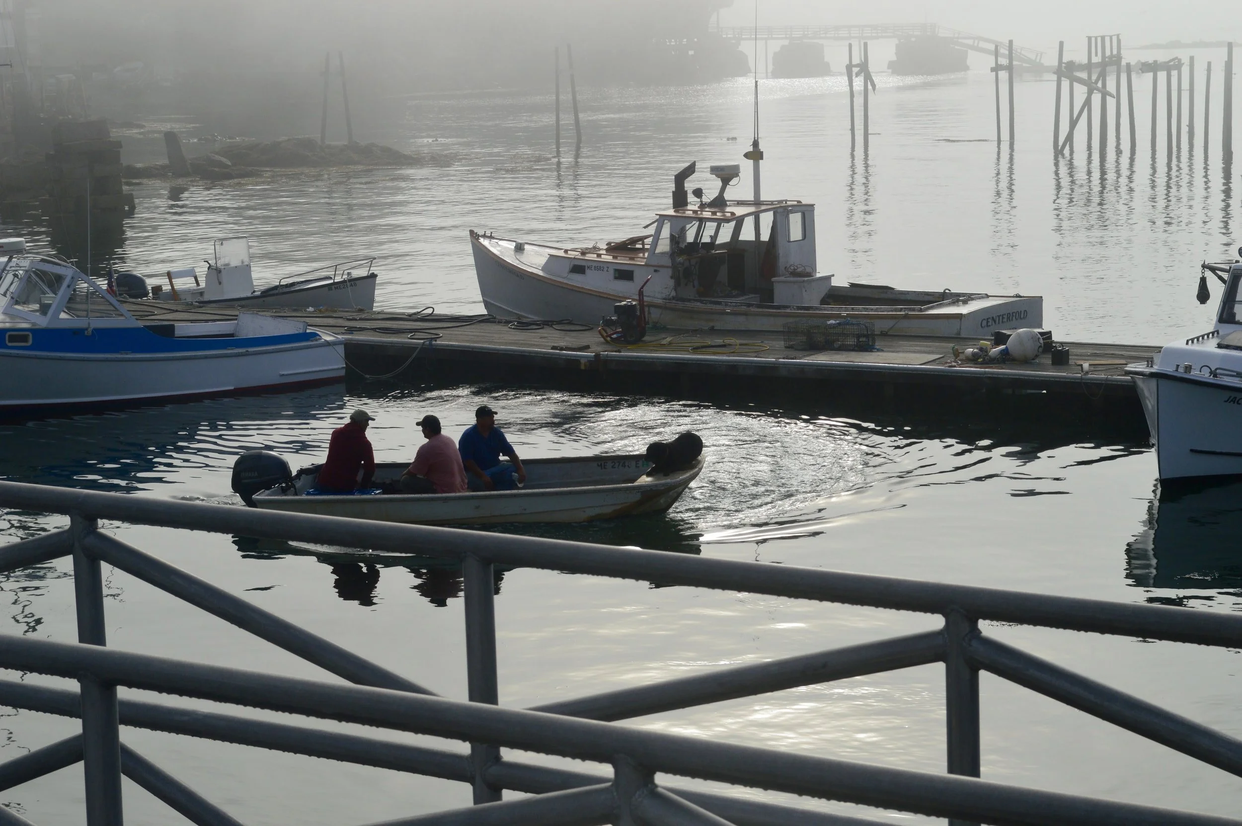 DSC_0444.jpg