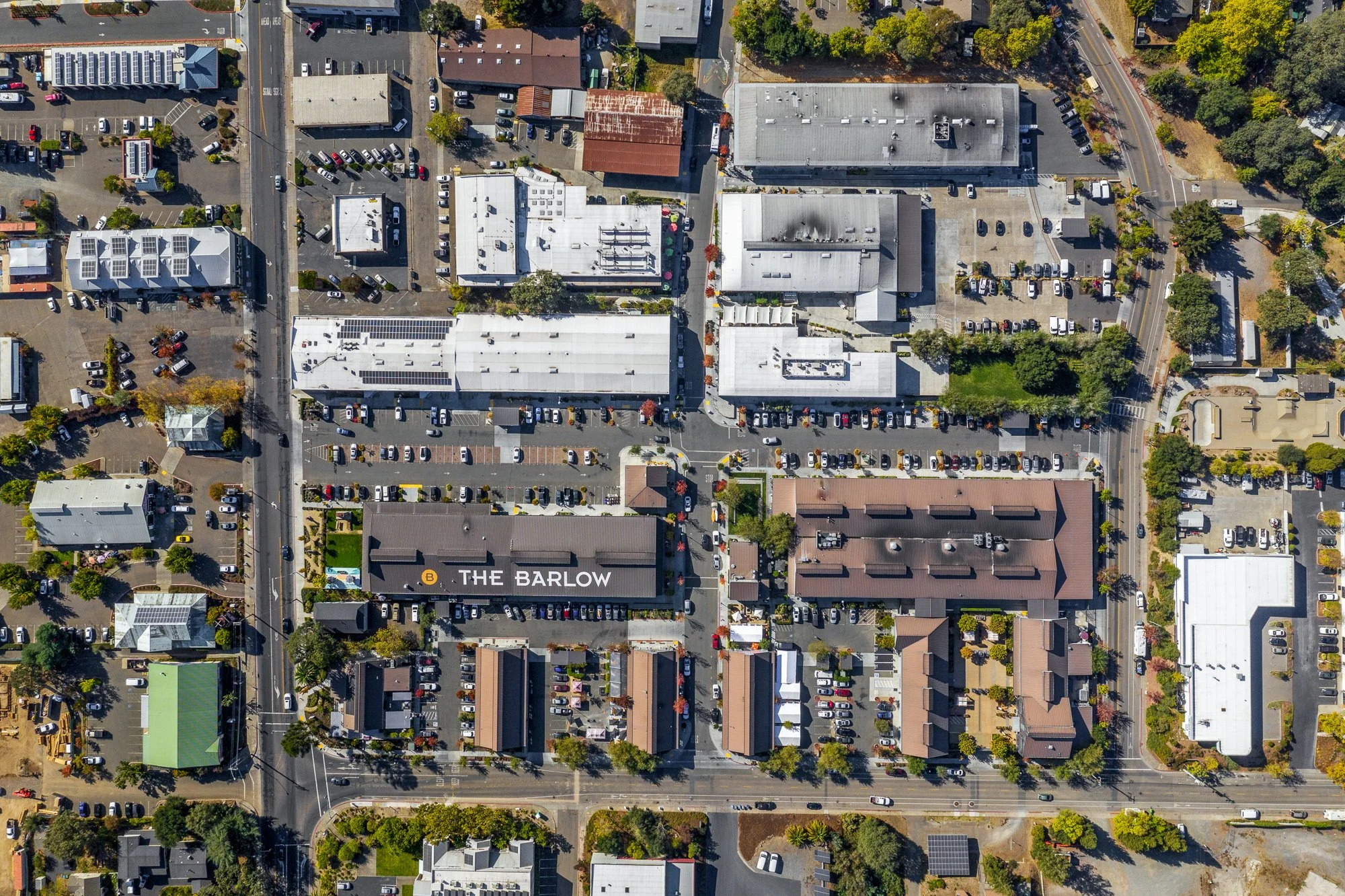 The-Barlow_LM_WEB-33 (1).jpg