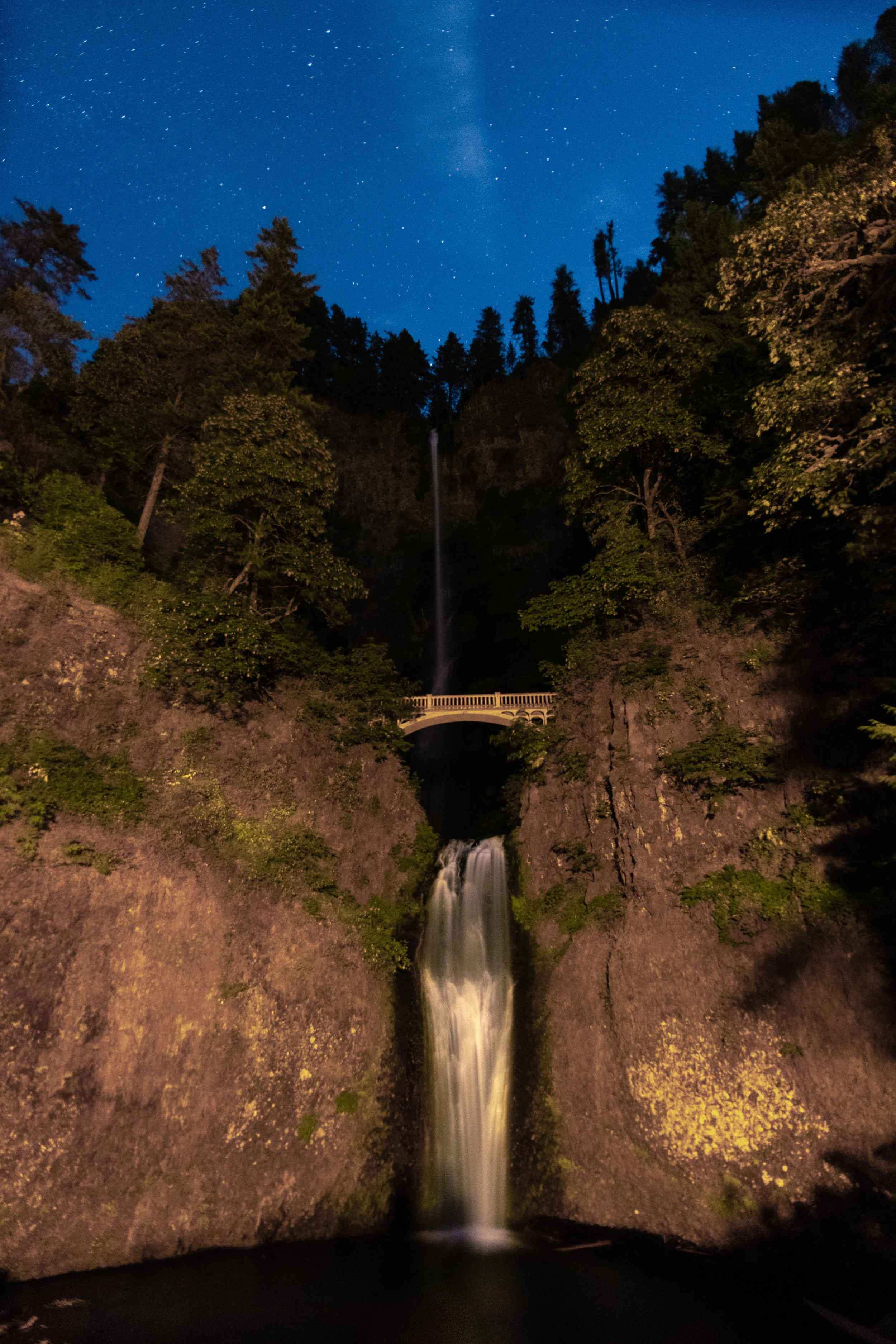 DSC_0313.jpg