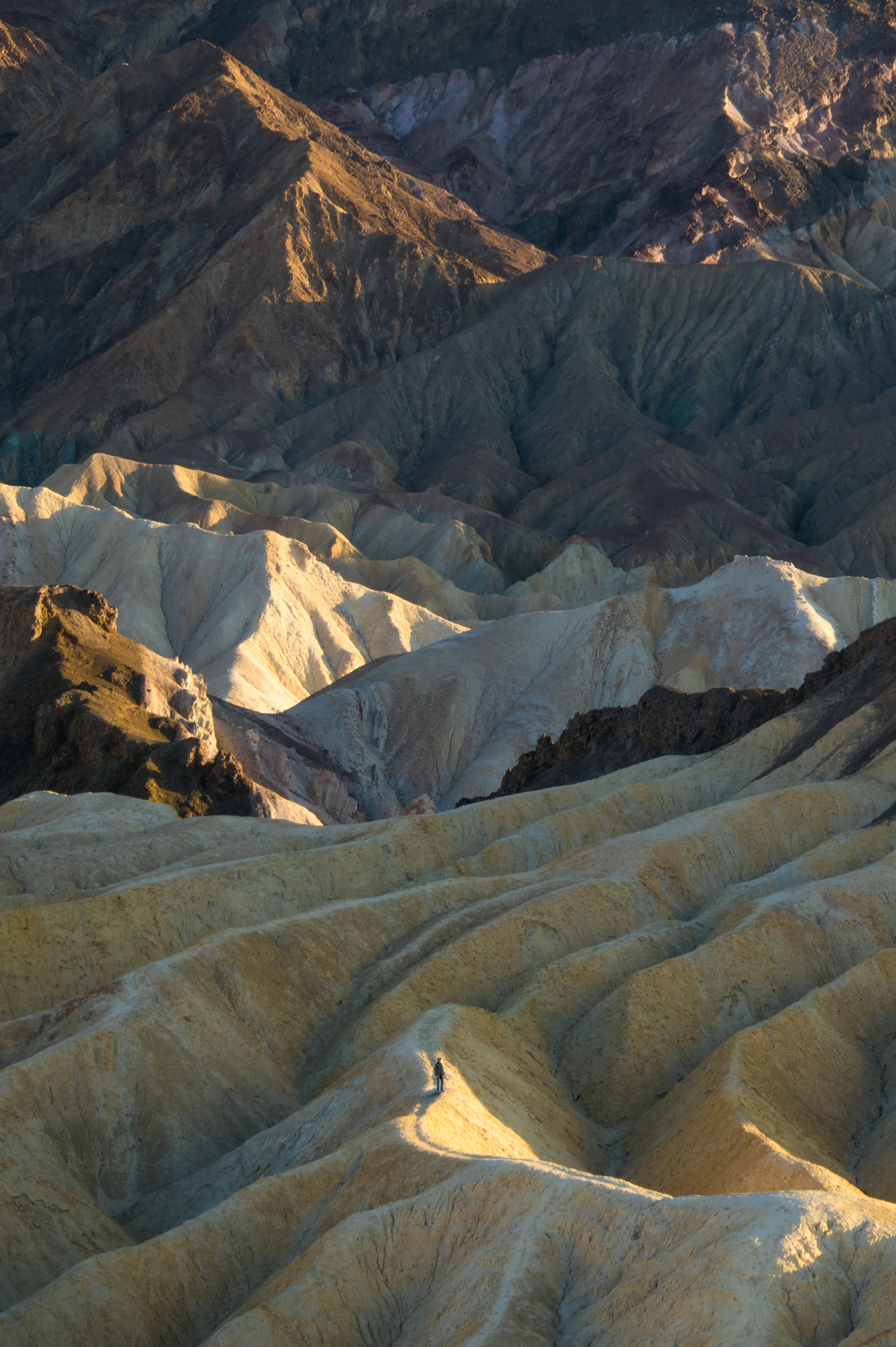 DSC_1234-Edit.jpg