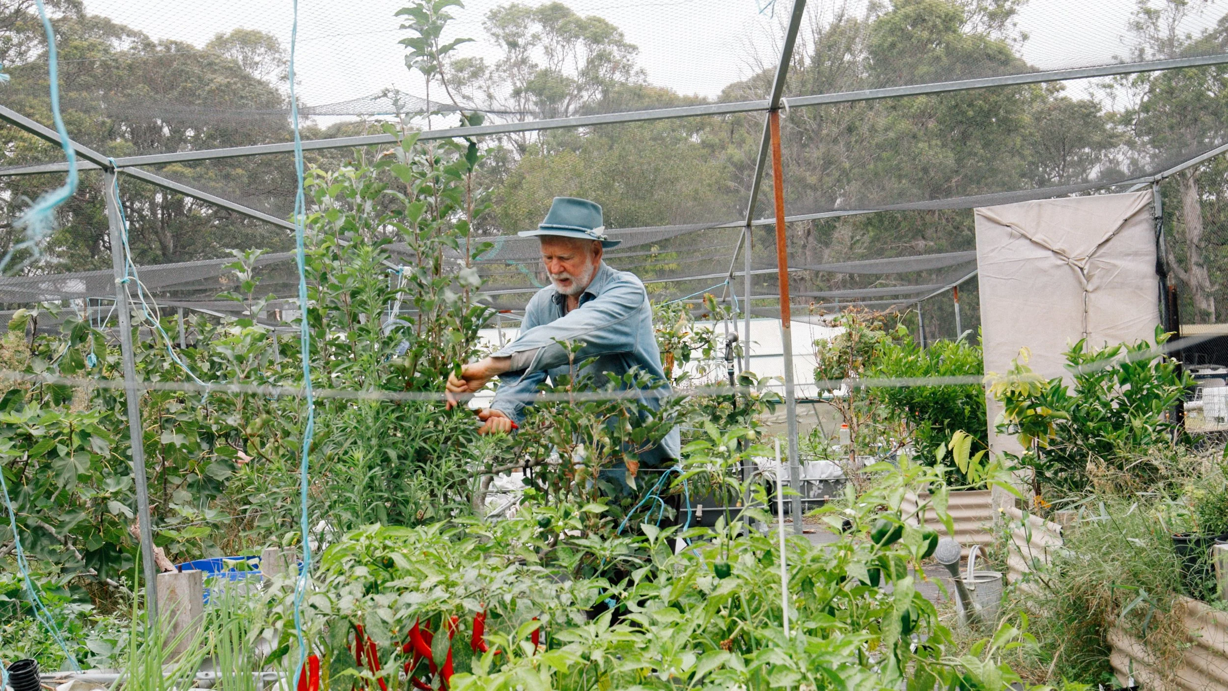 Vince Jones Gardening