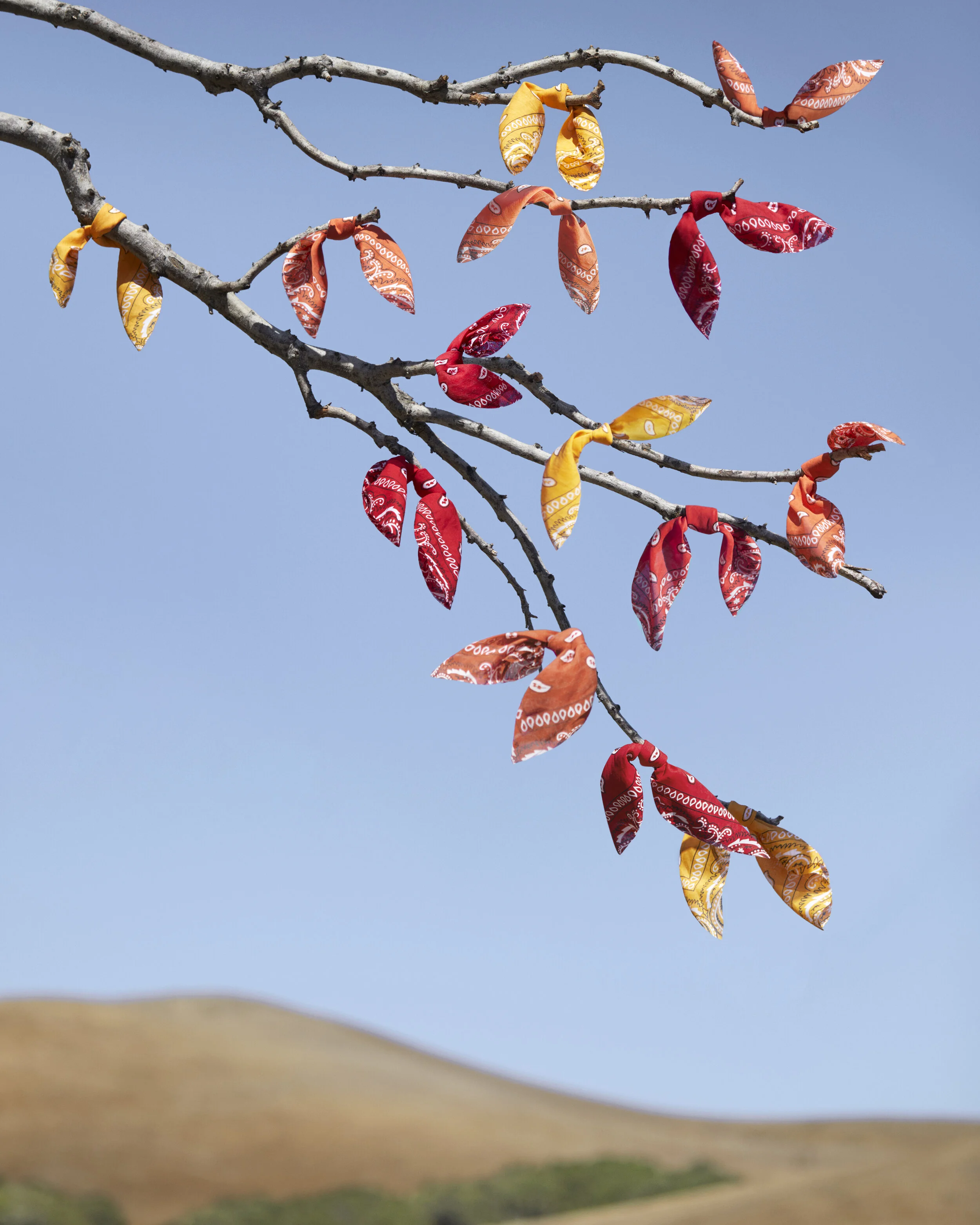 Bandana Leaves_4x5.jpg