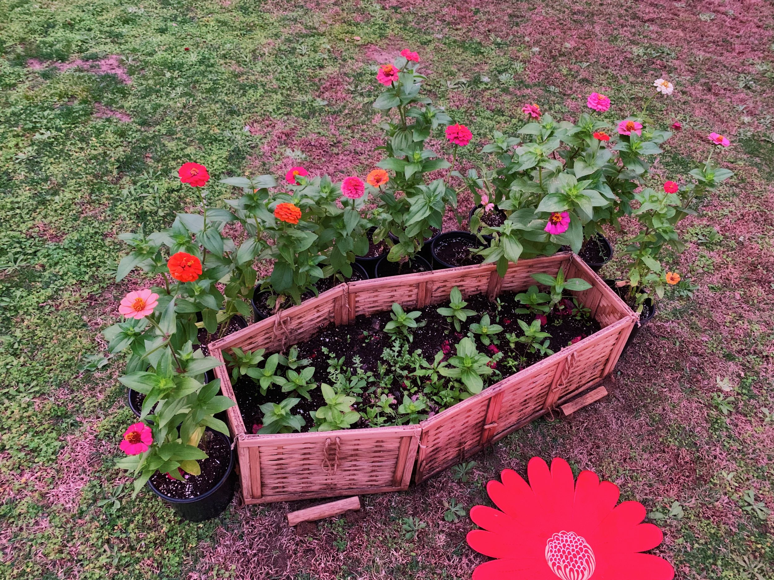 flowers with coffin, December 10