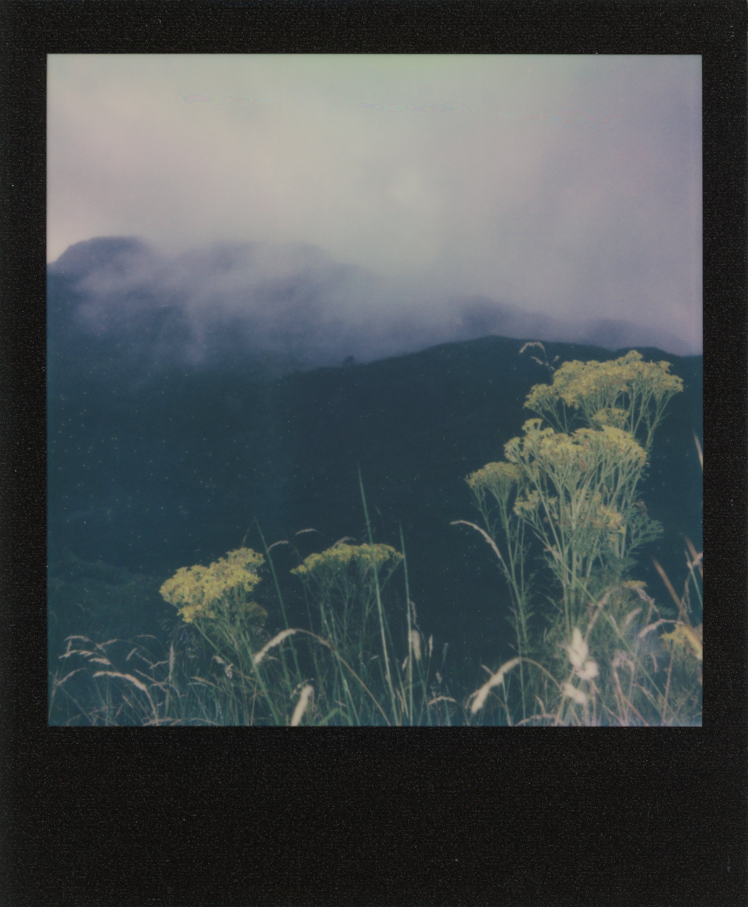 polaroids_scotland_julietfurst_0022.jpg