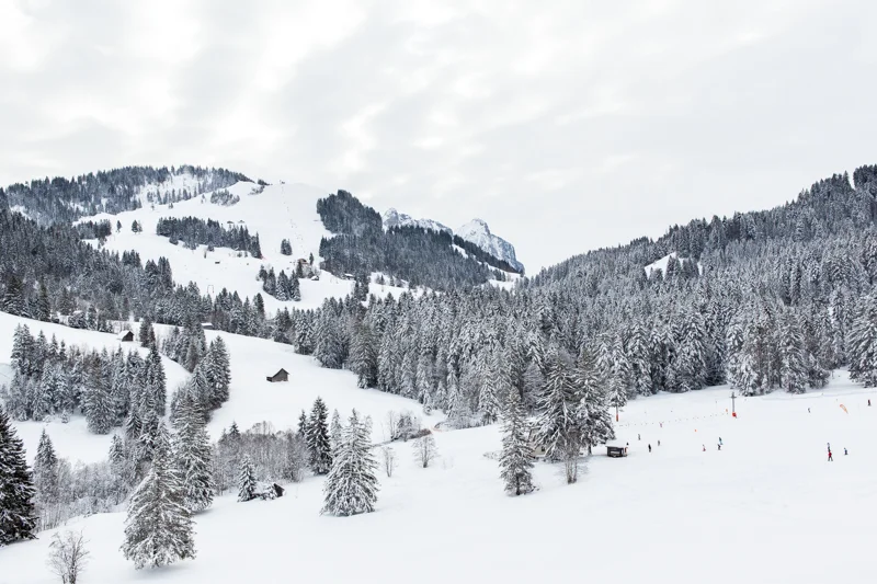 SFTSattelSkiing-8.jpg