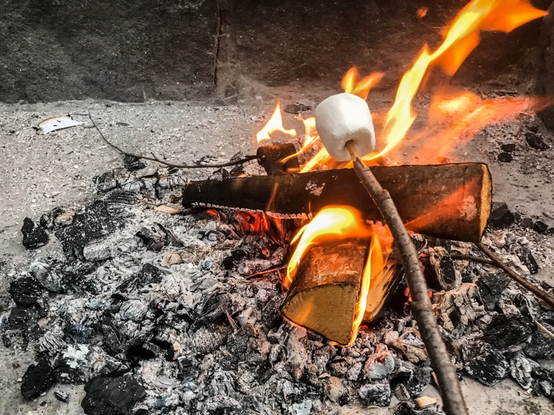 Camping = Fire and Camping Eienwäldli has a great fire pit on site for the guests to use.
