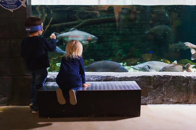 SFTSeaLife-2.jpg