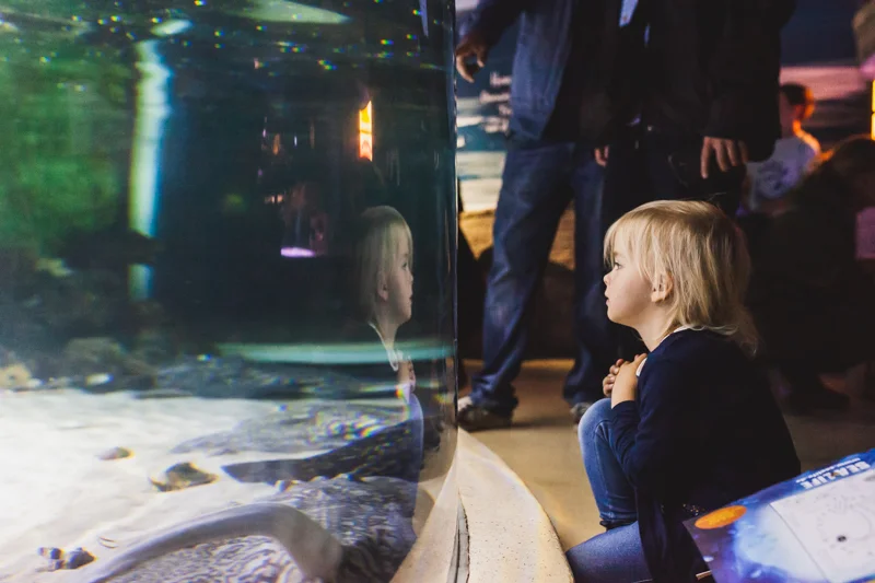 SFTSeaLife-11.jpg