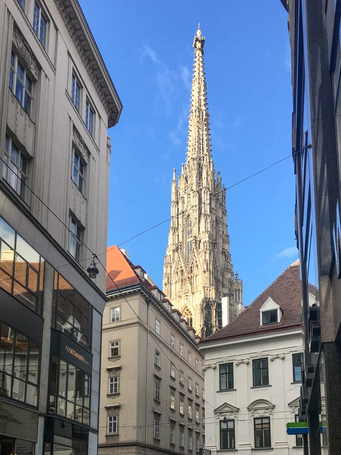SFT-Wien-3.jpg
