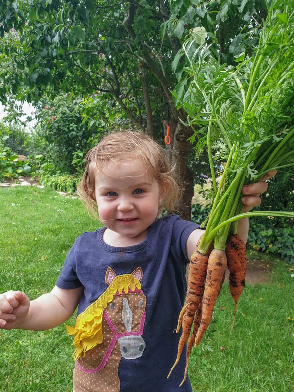 Blog2021_apr_easygrowgarden-1.jpg