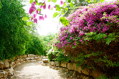 PathtoGideonsSpring.jpg