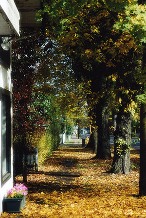 Photo available in "shop"