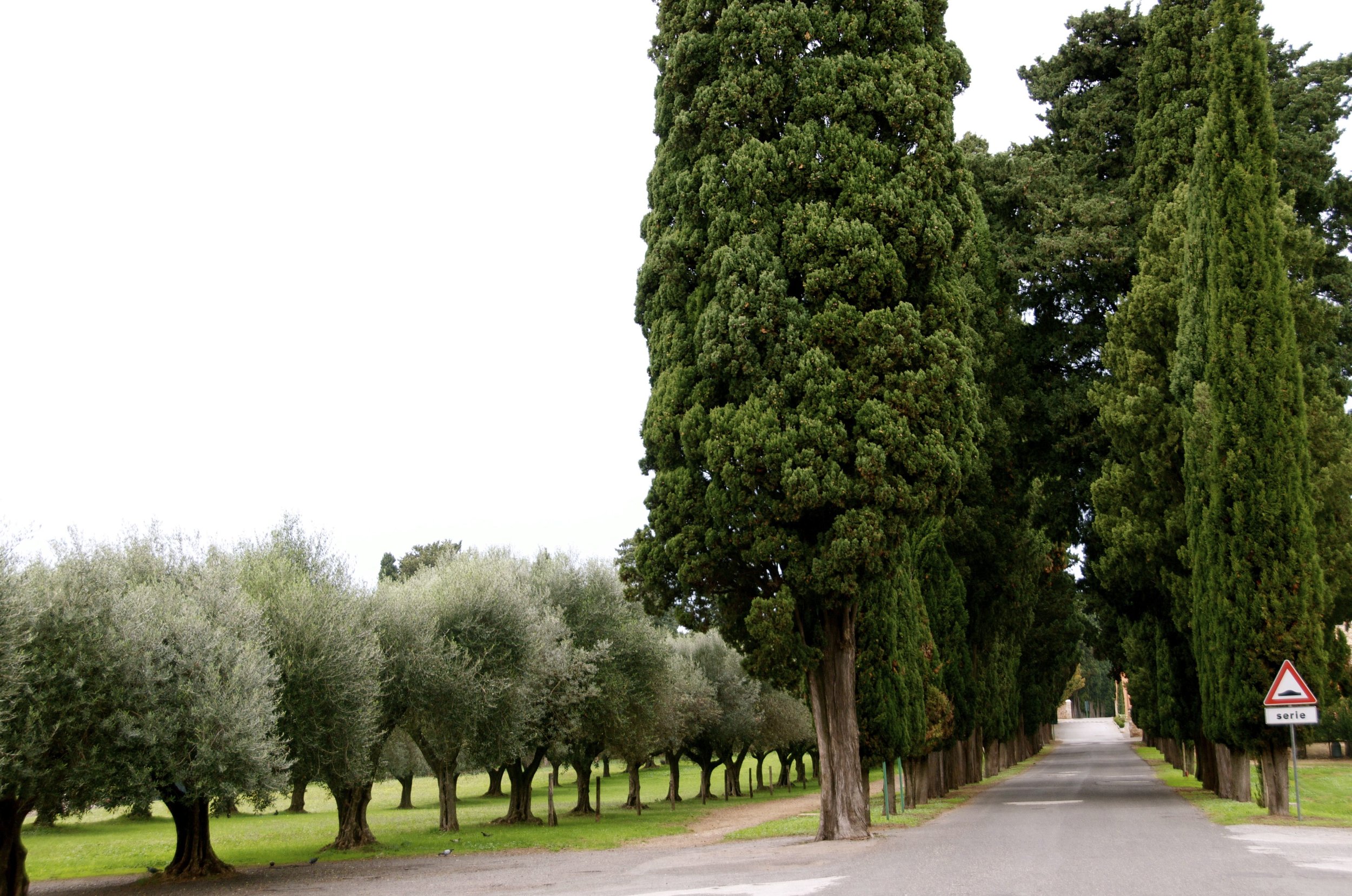 Road in Greece -"Shop" photo