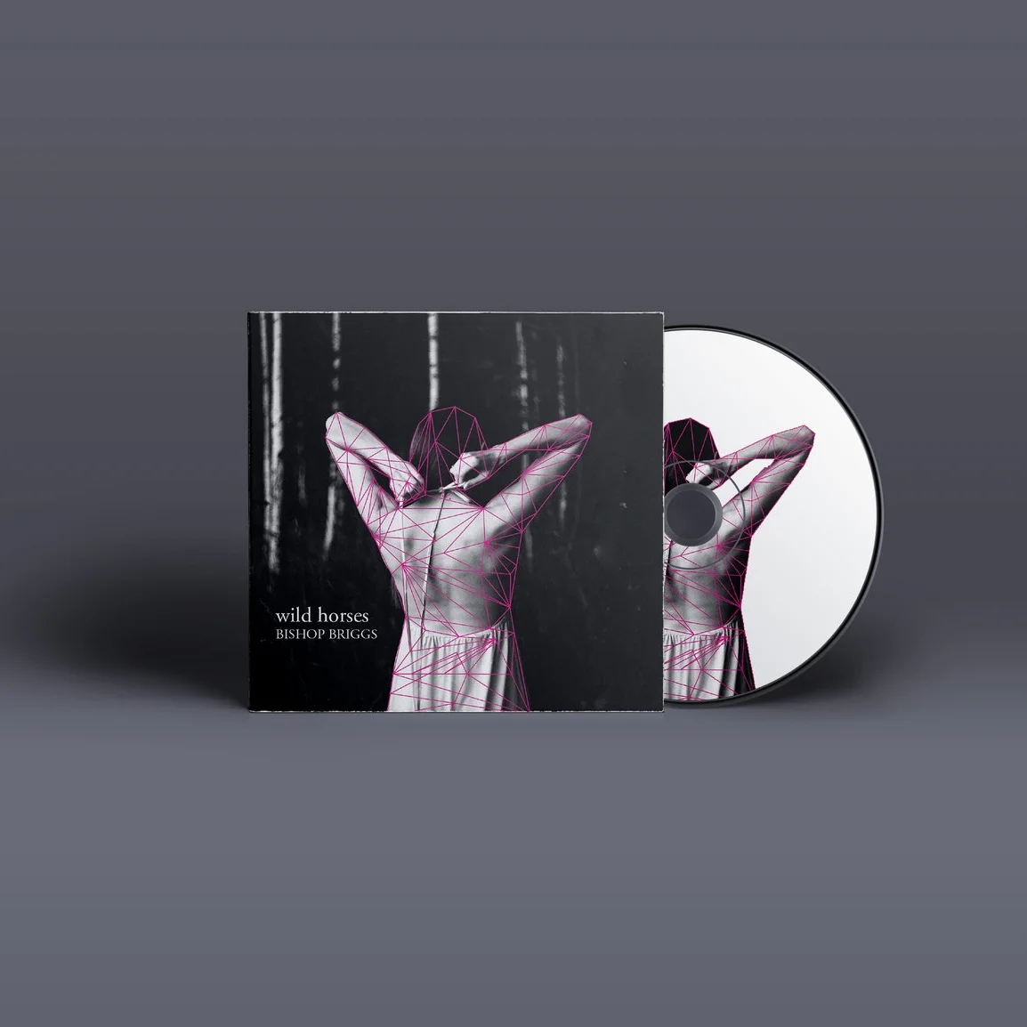Wild Horses - Bishop Briggs