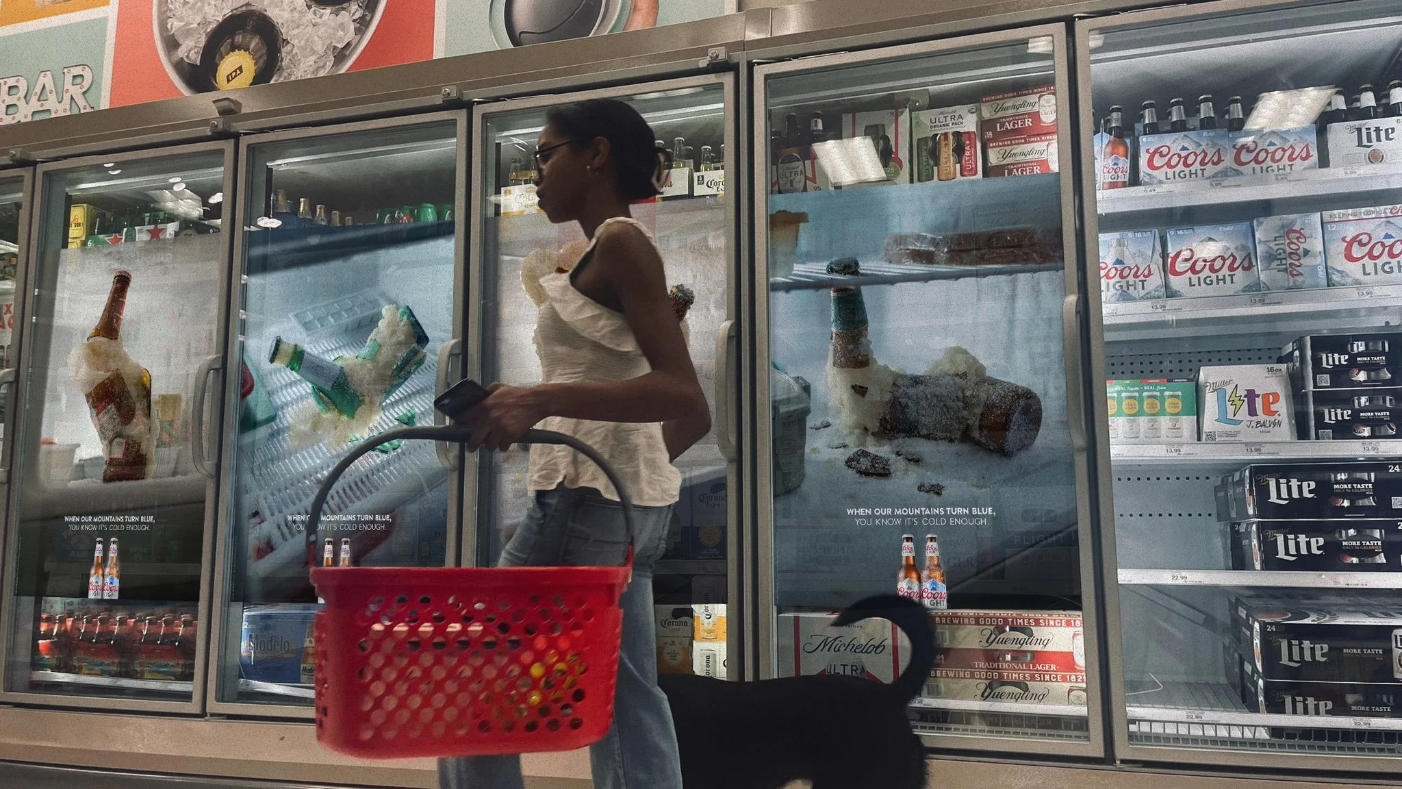 FRIDGES_01.jpg