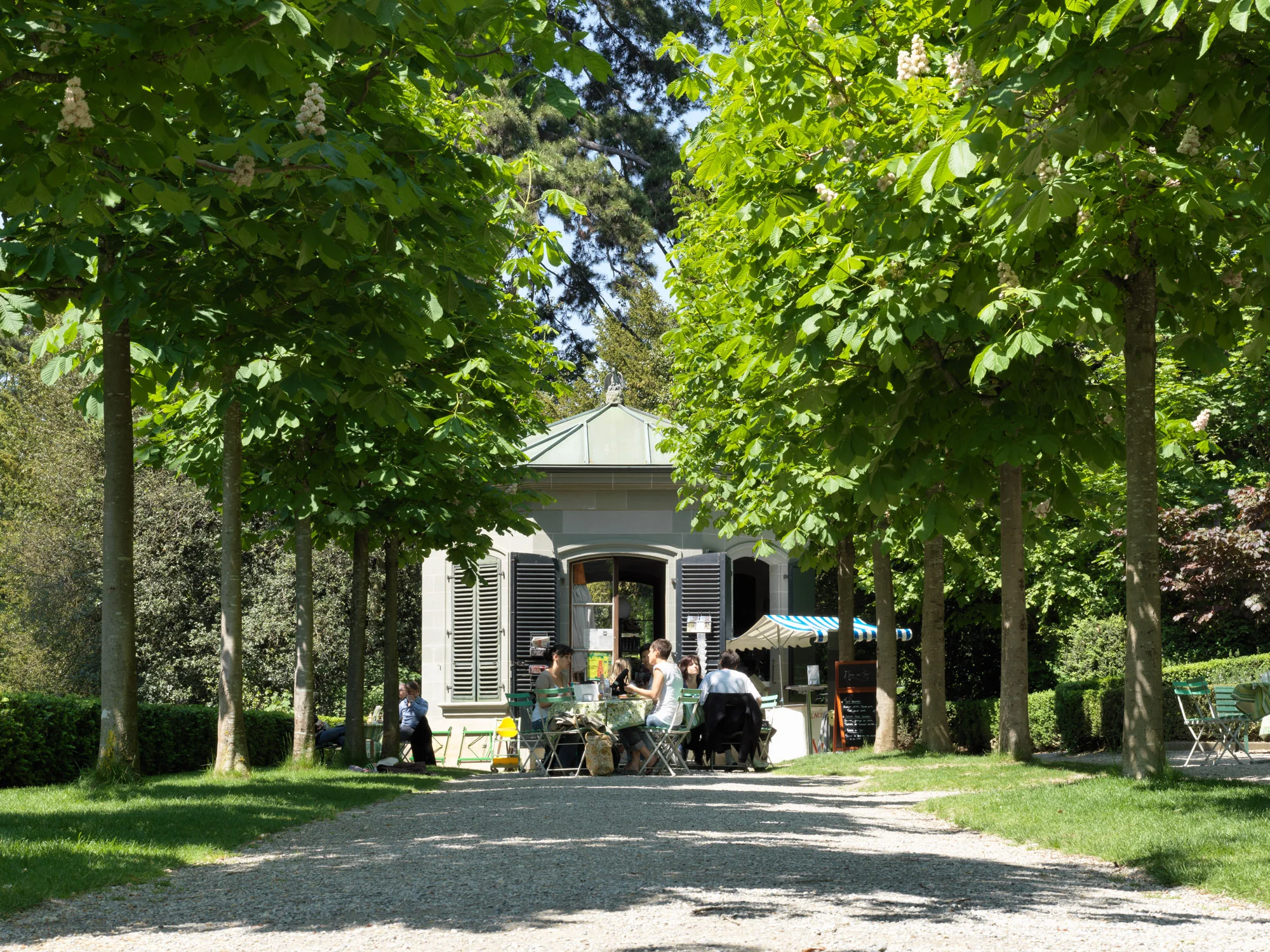 LIONEL HENRIOD | LAUSANNE copie.jpg