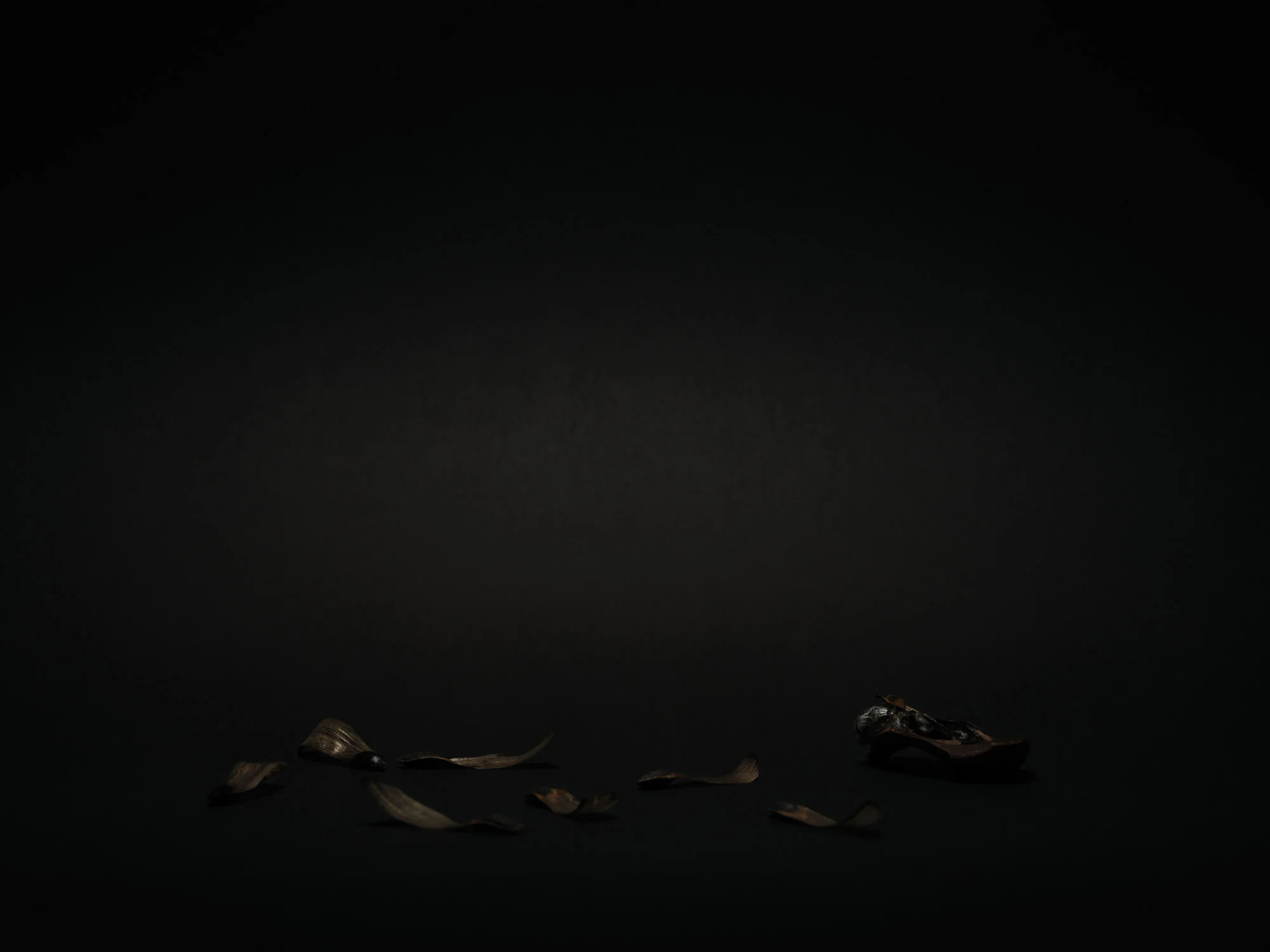NUX PINEA_SEMEN_0365.jpg
