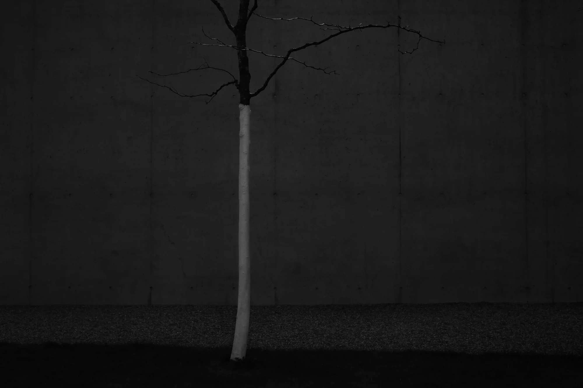 Hadid Tree - Fire Sation, Zaha Hadid, Weil am Rhein - 2017