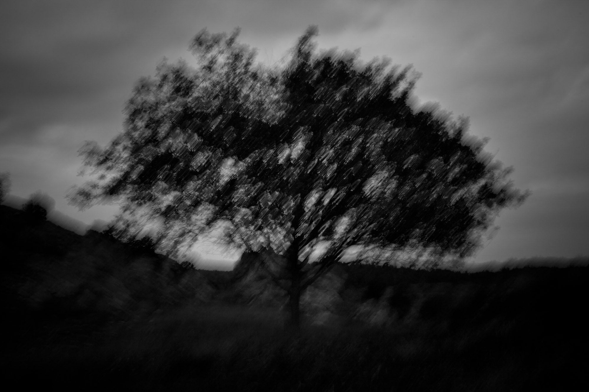 Promise Land I - Pilane, Sweden - 2017