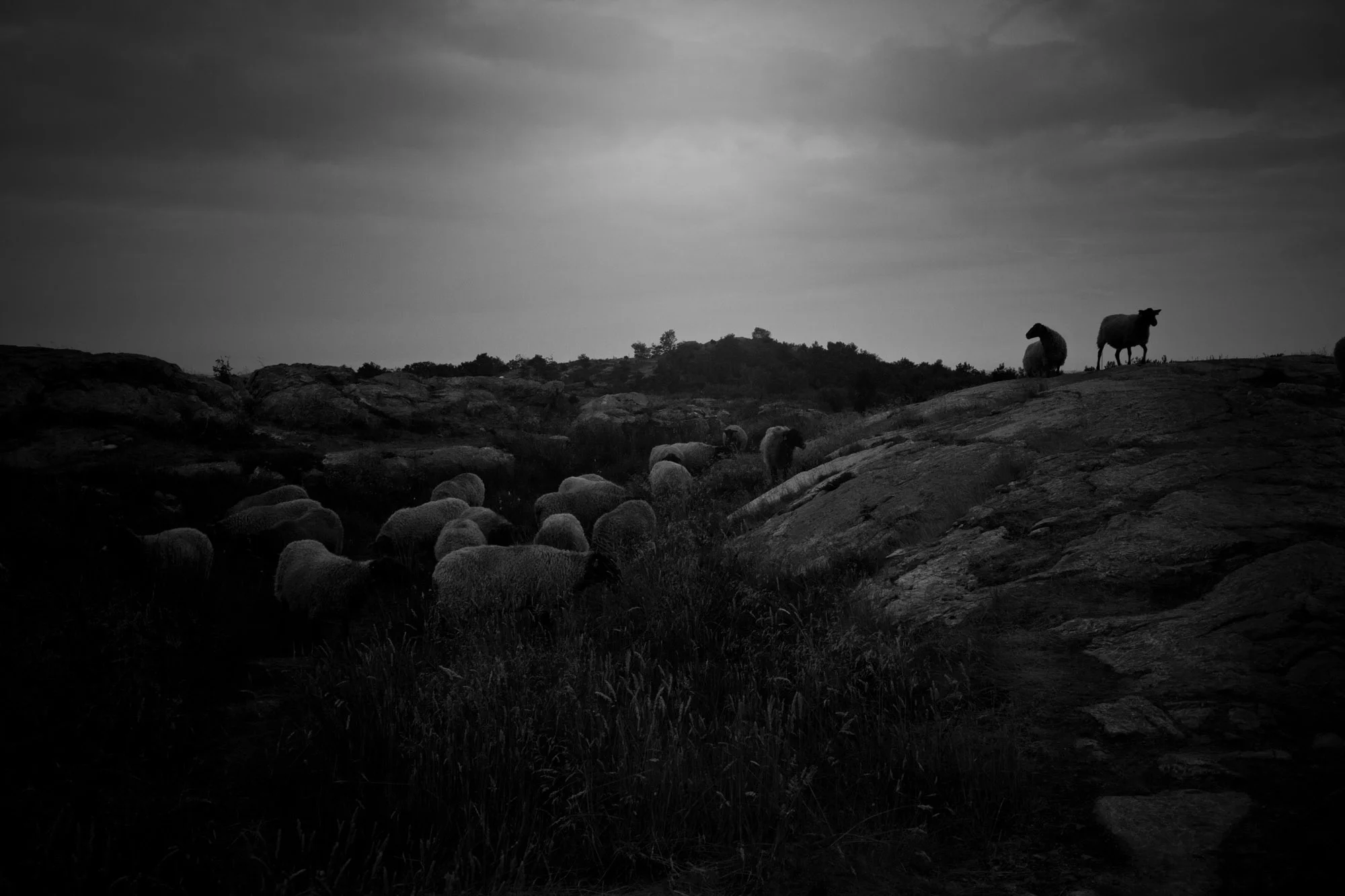 Promise Land II - Pilane, Sweden - 2017