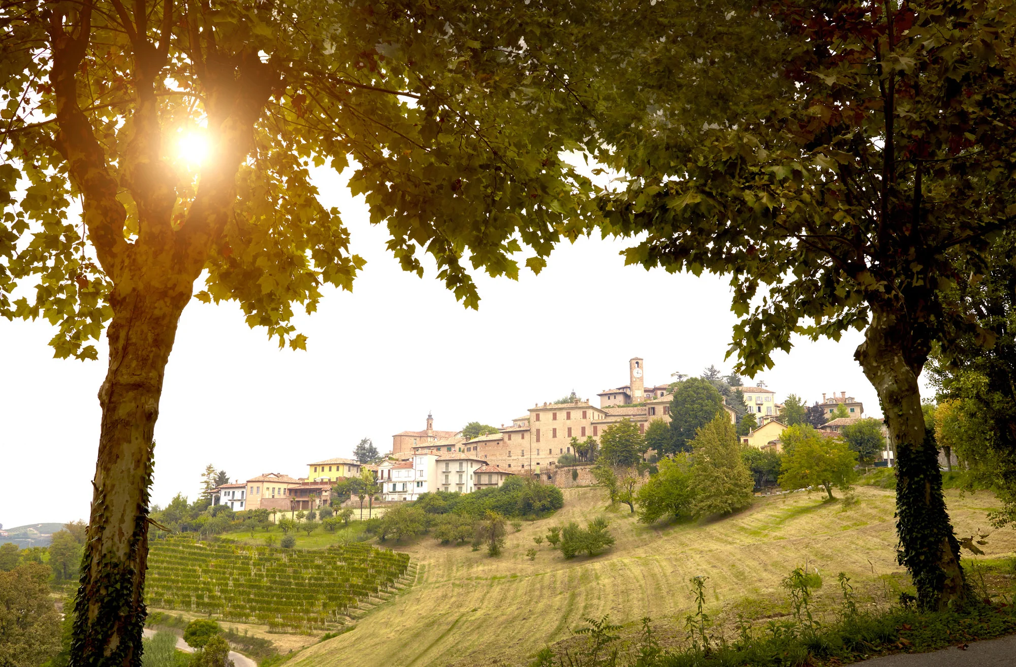 piemonte11.jpg
