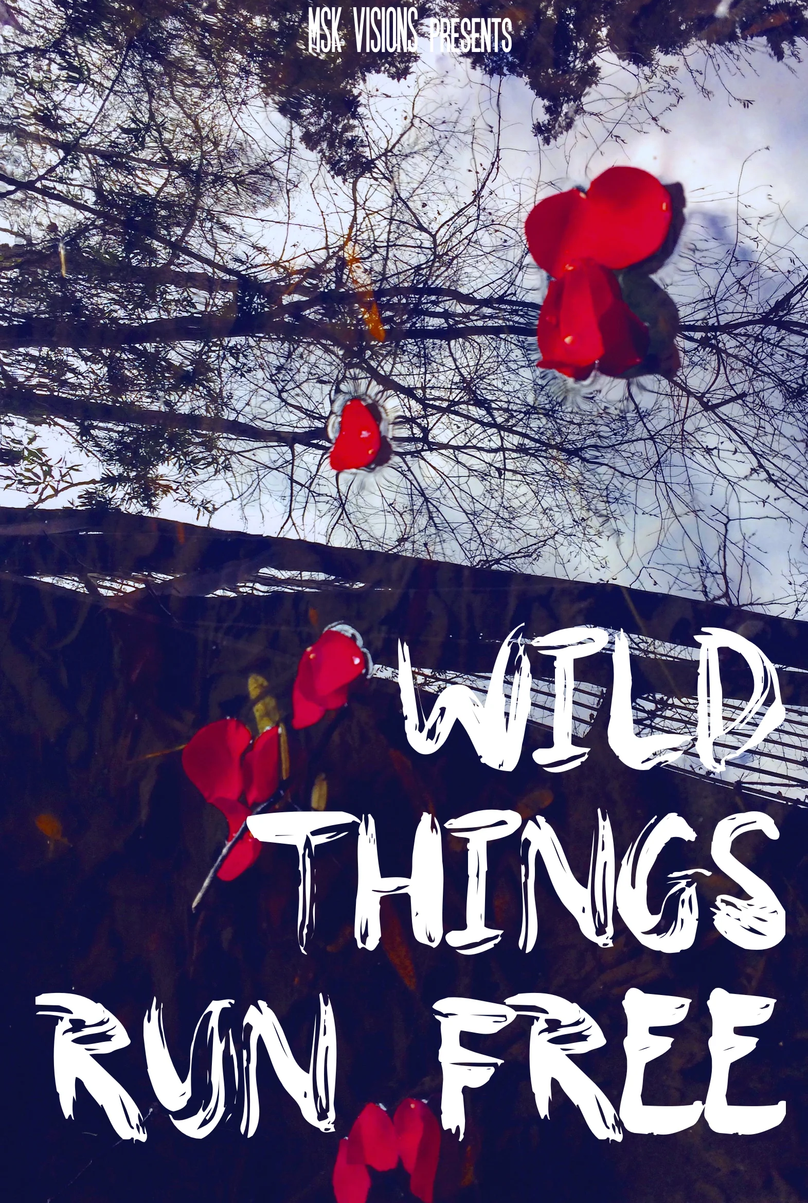 WTRF poster 2.jpg