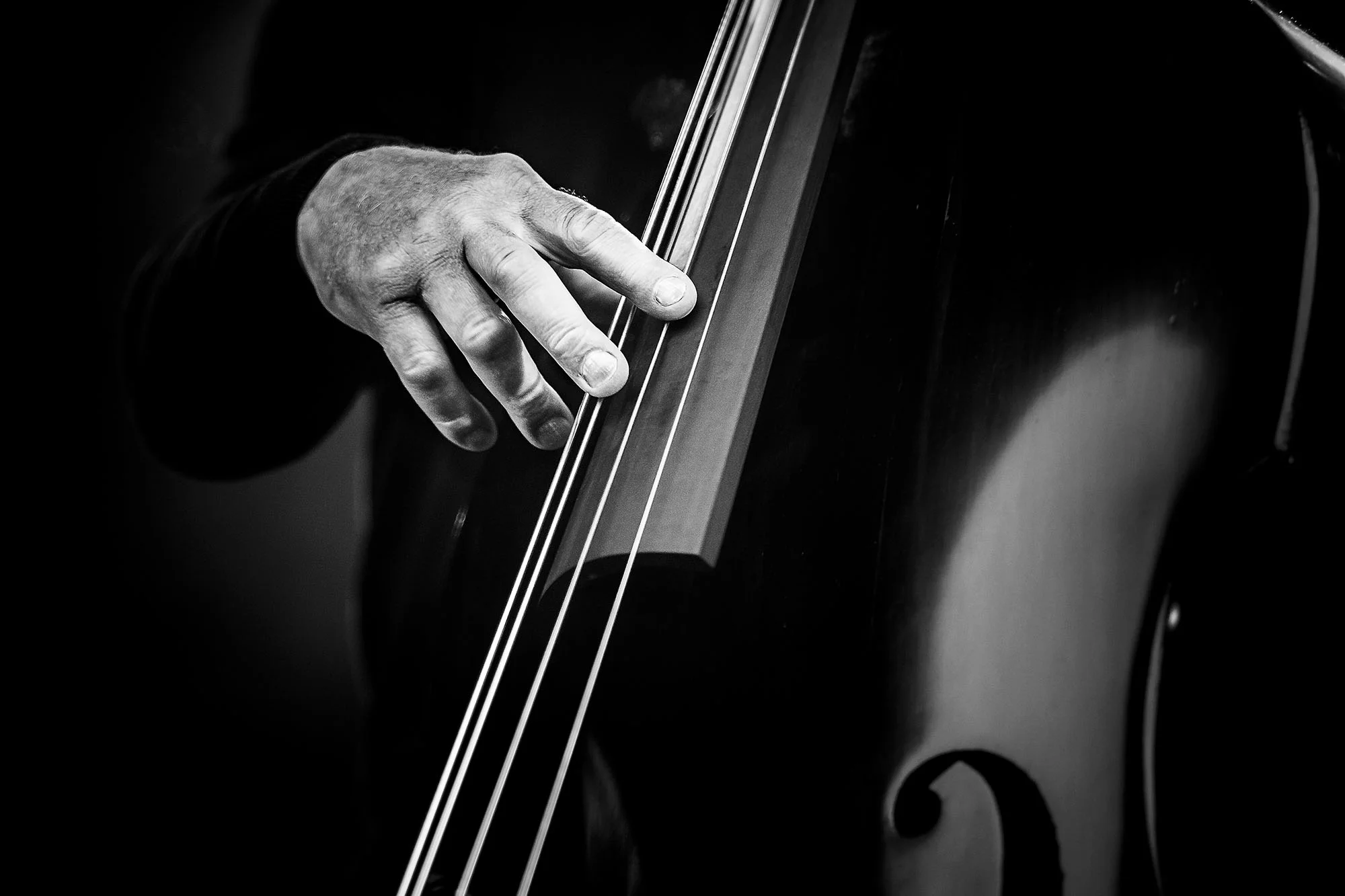 ViperSwing_malik(4).jpg