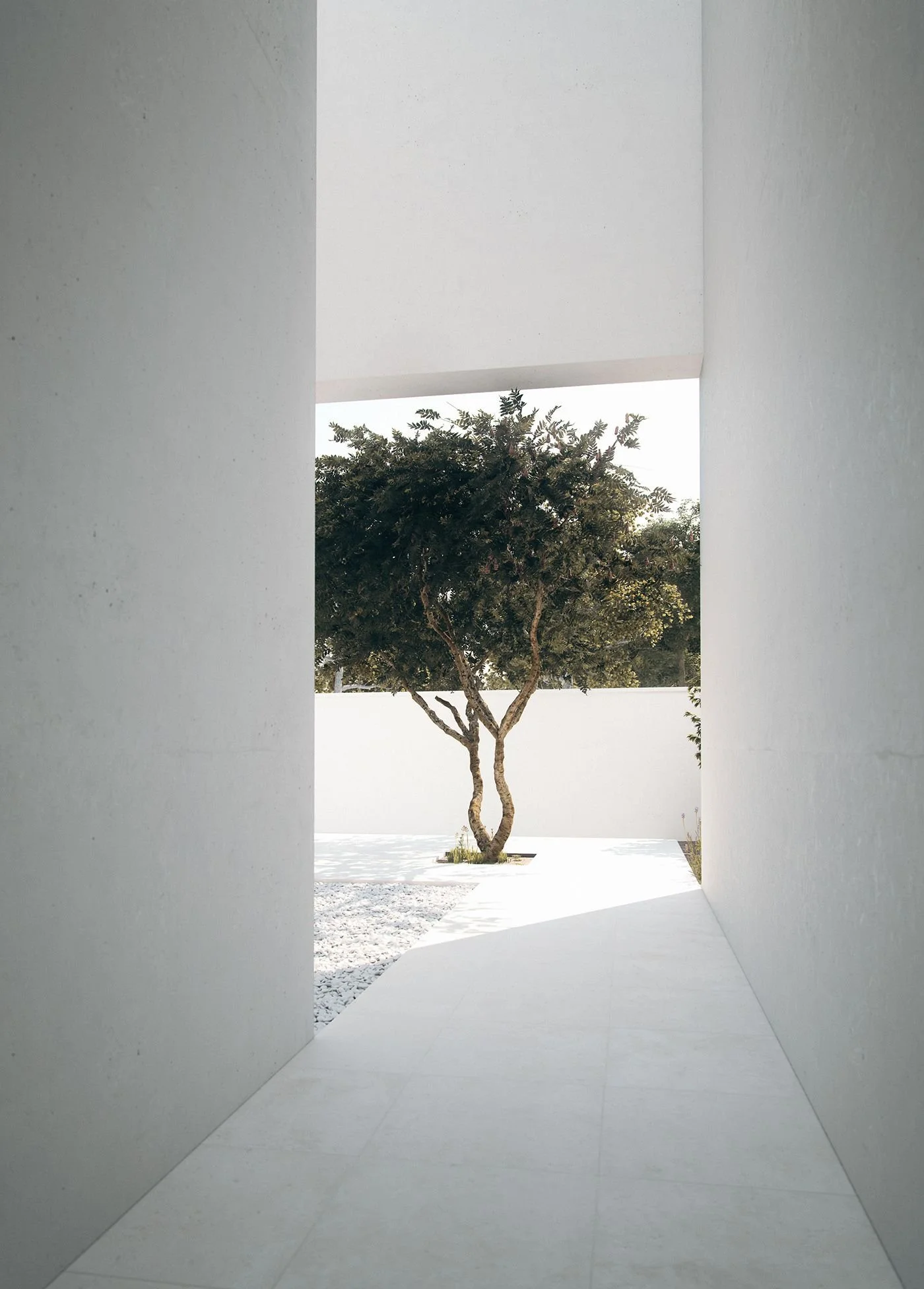 Light - Shadow - Color.jpeg