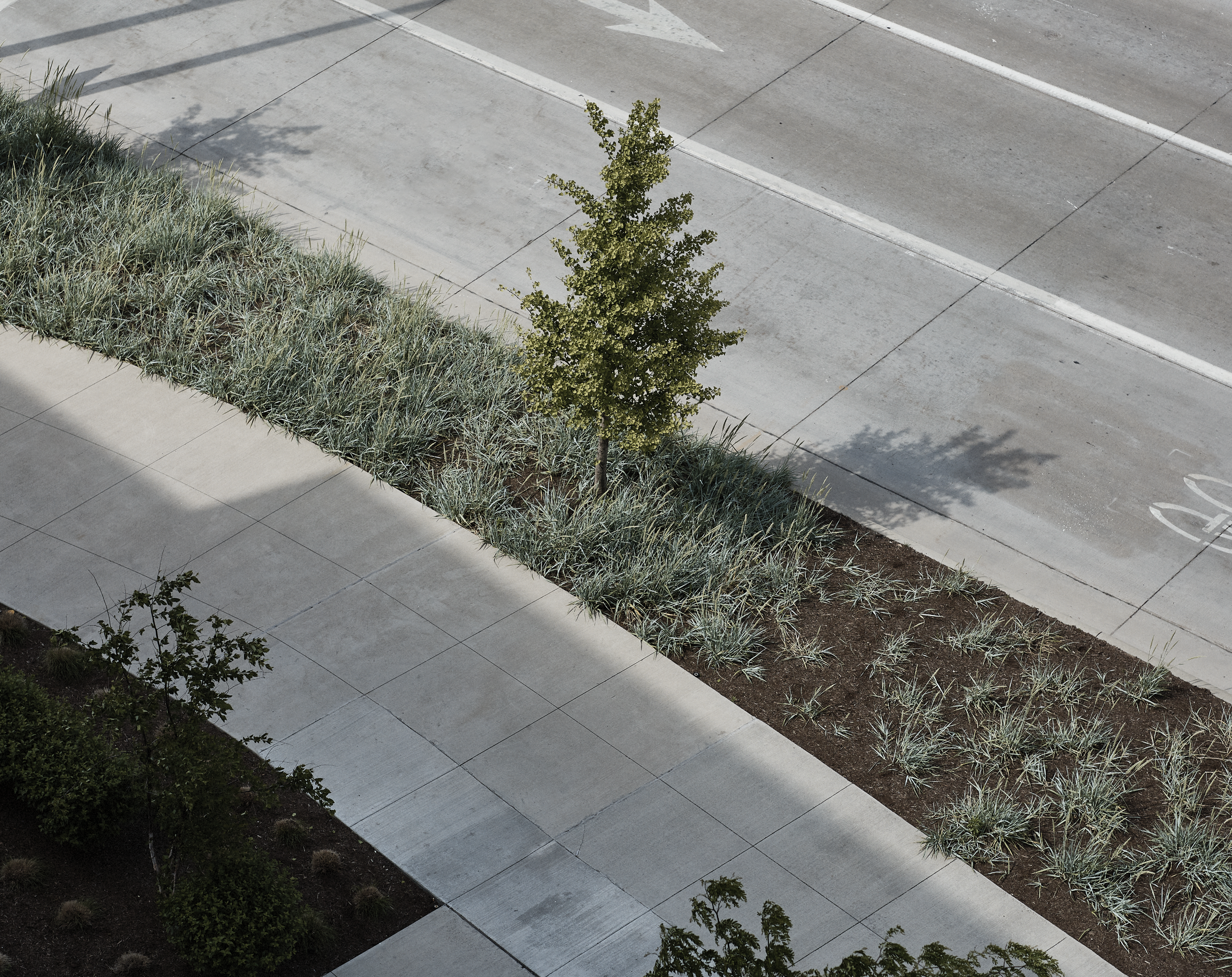 Screen Shot 2022-09-07 at 2.53.37 PM.png